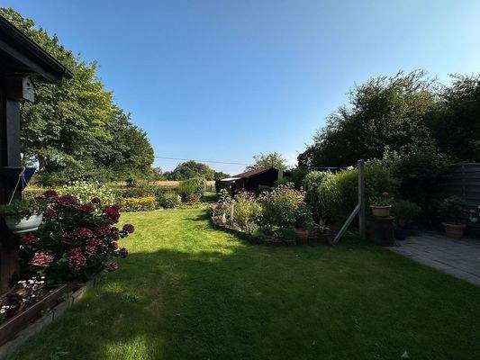 Blick in den Garten