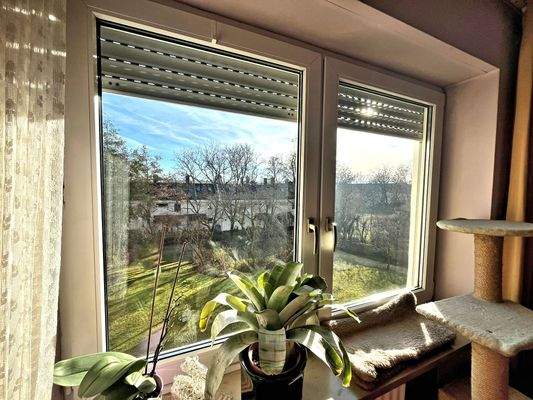 Ausblick vom Schlafzimmer