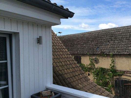 DG-Störche auf dem Dach