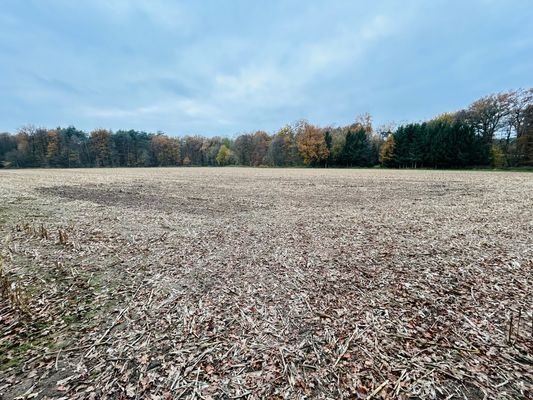 Blick übers Feld