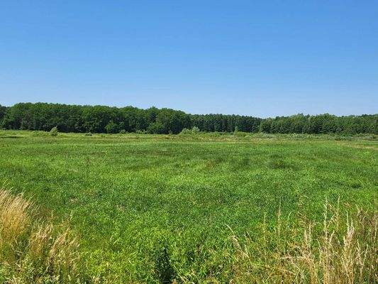 Somogysámson Übersicht