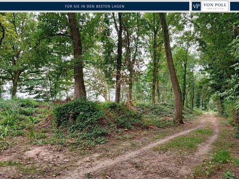 Geldern Bauernhöfe, Landwirtschaft, Geldern Forstwirtschaft