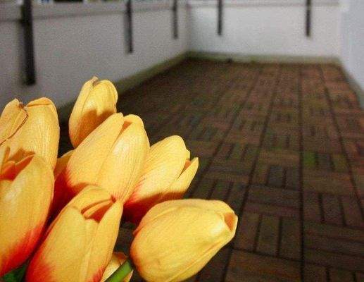 die kleine Dachterrasse