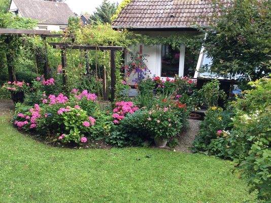 Ihr Blick im Sommer (2025)