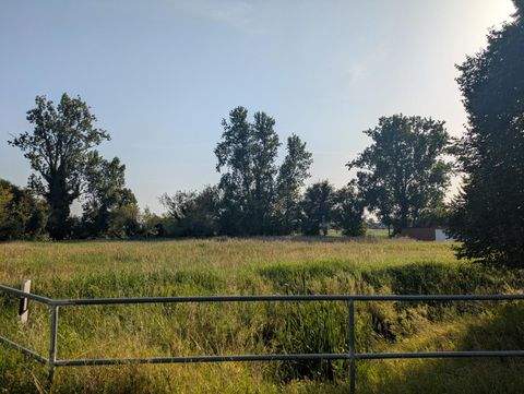 Märkisch Luch Grundstücke, Märkisch Luch Grundstück kaufen