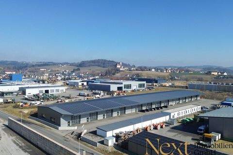 Perg Halle, Perg Hallenfläche