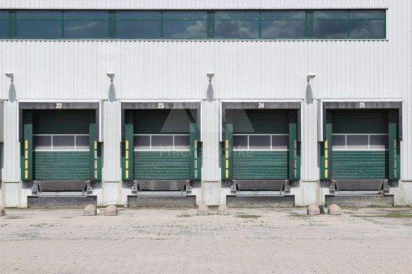 Beispielfoto-Björn Wylezich