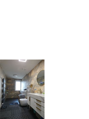 aufwendig renoviertes Masterbad Dach