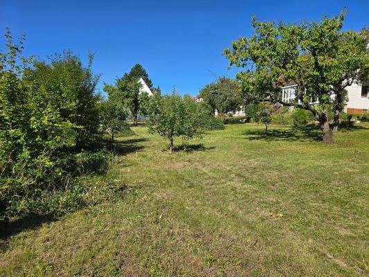 Blick auf das Grundstück Richtung Westen