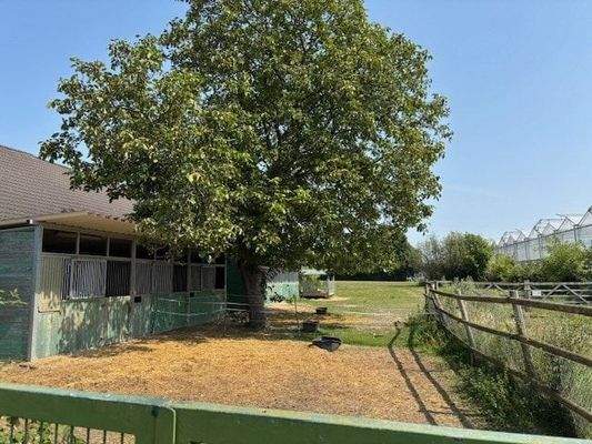 Außenboxen mit Paddock