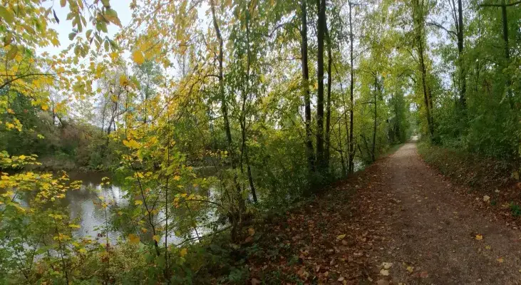 Wanderweg zum Attersee.jpg