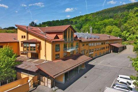 Wald-Michelbach Halle, Wald-Michelbach Hallenfläche