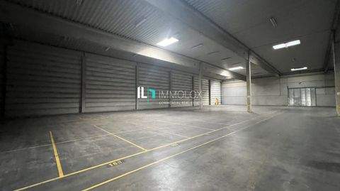 Langenlonsheim Halle, Langenlonsheim Hallenfläche