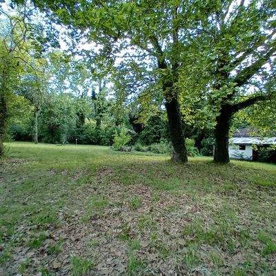 20250513_175340 (1).jpg