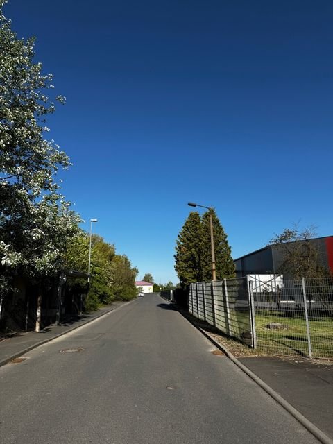Kölleda Halle, Kölleda Hallenfläche