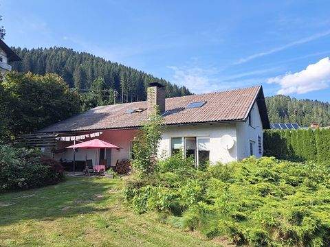 Ratten Häuser, Ratten Haus kaufen