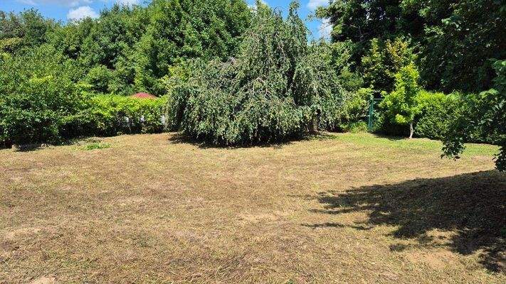 Hier könnte bald Ihr Eigenheim stehen