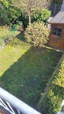 Blick in den Garten