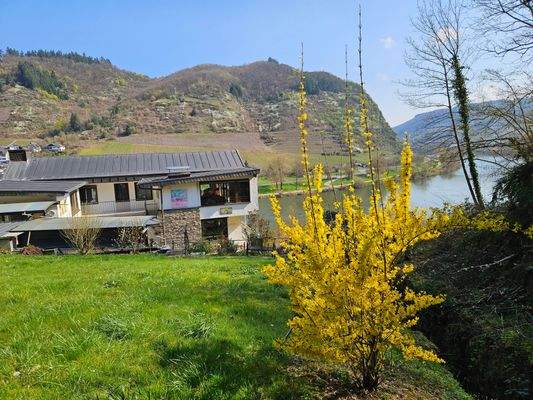 Ausblick vom Grundstück