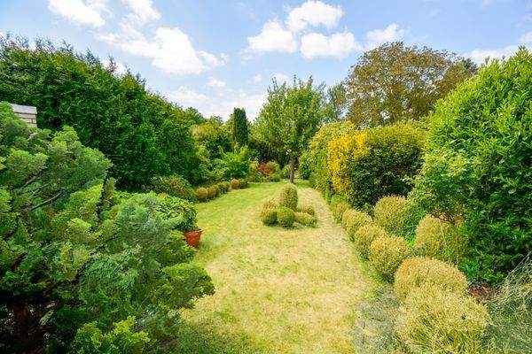 Blick von der Terrasse in den Garten