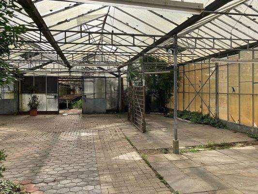 Gewächshäuser innen