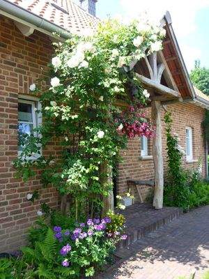 Hauseingang überdacht