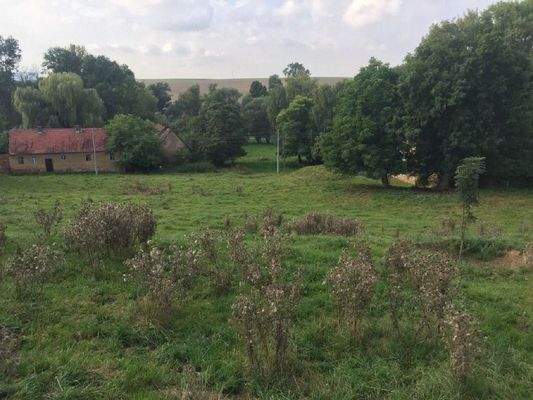 Blick vom Grundstück auf die Straße