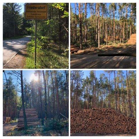 Heidesee Grundstücke, Heidesee Grundstück kaufen
