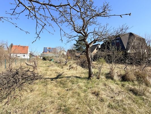 Garten hin dem Nebengebäude