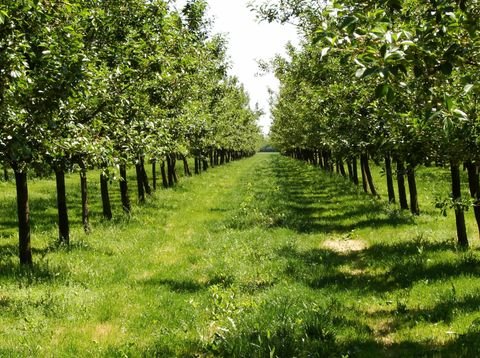 Leifers Grundstücke, Leifers Grundstück kaufen