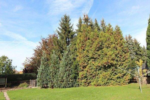 Parkanlage / Grünanlage 