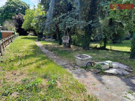 Blick übers Grundstück