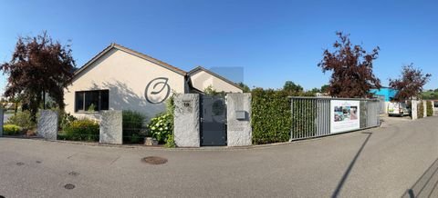 Efringen-Kirchen Renditeobjekte, Mehrfamilienhäuser, Geschäftshäuser, Kapitalanlage