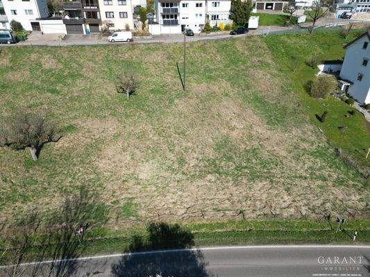 dji fly 20250405 104538 748 1743843079028 photo