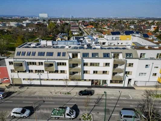 Bild 18