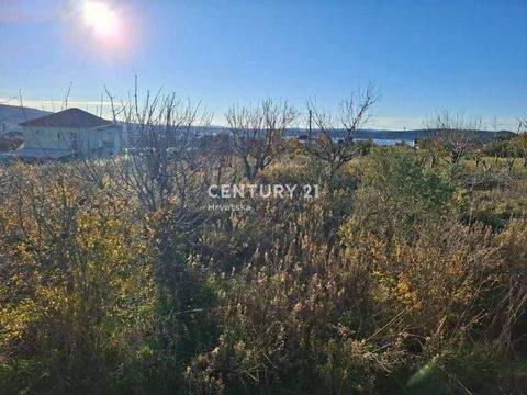 Trogir Bauernhöfe, Landwirtschaft, Trogir Forstwirtschaft