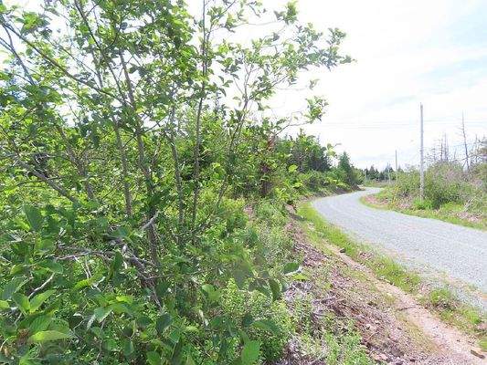 Cape Breton - Soldiers Cove - 32.000 m² großes Bau