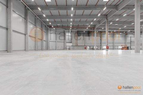 Nabburg Halle, Nabburg Hallenfläche