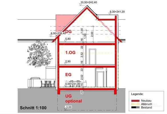Projektierter Schnitt