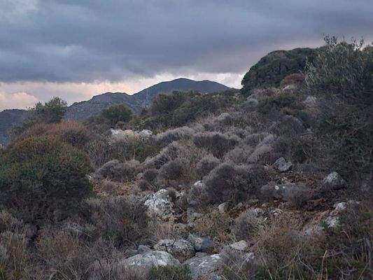 Kreta, Sisi: Gruppe benachbarter Grundstücke mit Meerblick zu verkaufen