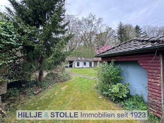 Blick in den Garten