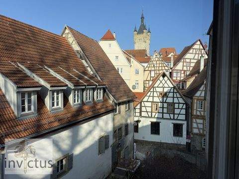 Bad Wimpfen Wohnungen, Bad Wimpfen Wohnung mieten