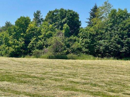 Grundsück Rückseite -Heide