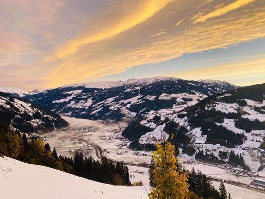 PHOTO-2021-02-01-19-53-20