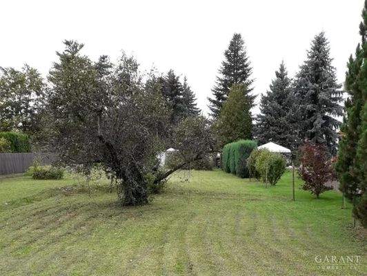 Grundstück Lindenthal Bild 2