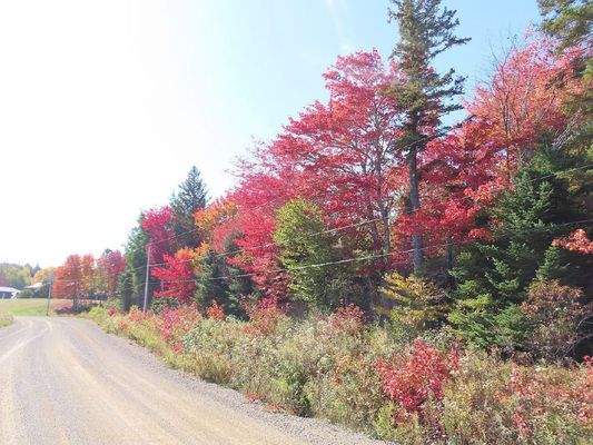 Nova Scotia - West Side Country Harbour - 52-Hekta