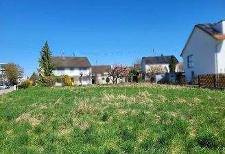 20250407_123518_resized-