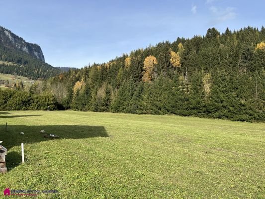 Bild 12