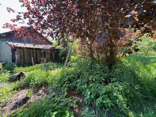 Giebelansicht Stallgebäude