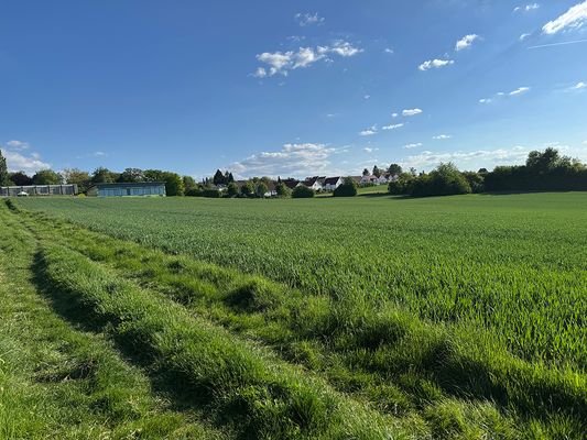 Aussicht vom Grundstück